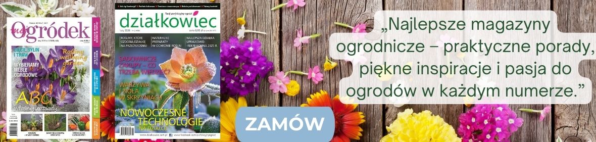  reklama_prenumeraty_na_dzialkowiecsklep.pl
