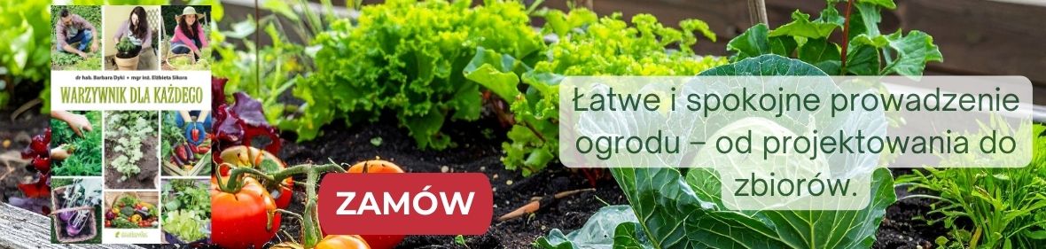 Książka Warzywnik dla każdego