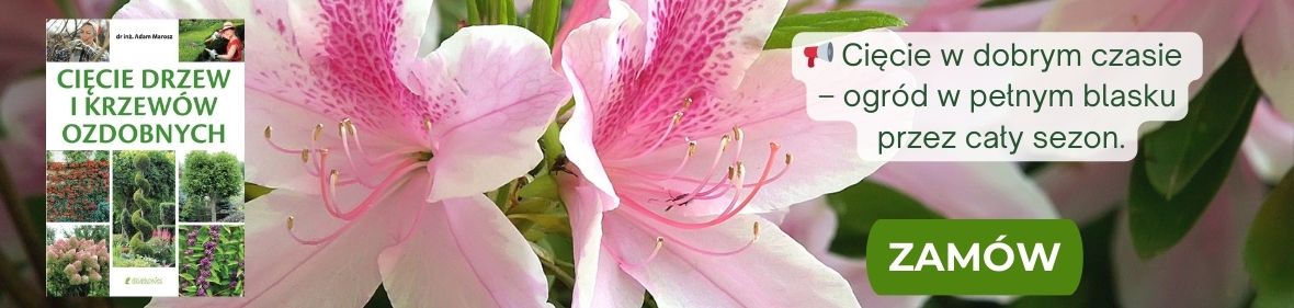 Książka Cięcie drzew i krzewów ozdobnych