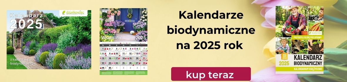 kb2025